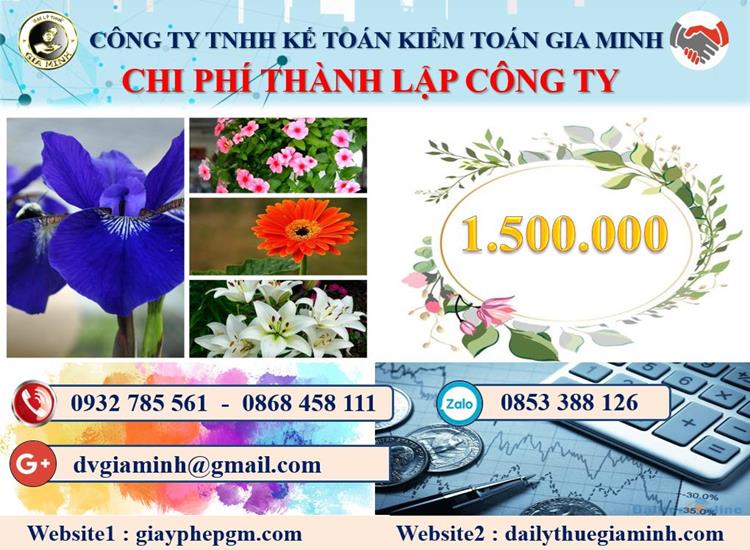 Chi phí tư vấn thành lập doanh nghiệp tại Tuyên Quang
