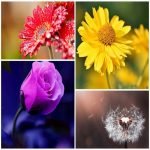 Dịch vụ giải thể chi nhánh tại TP Hải Phòng Tìm dịch vụ giải thể chi nhánh tại TP Hải Phòng