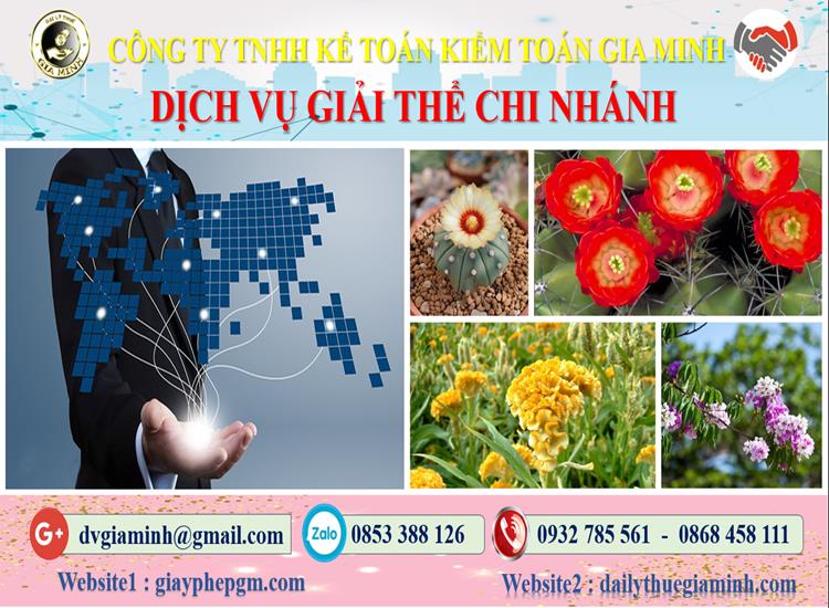 Thủ tục dịch vụ giải thể chi nhánh tại Quận Ninh Kiều