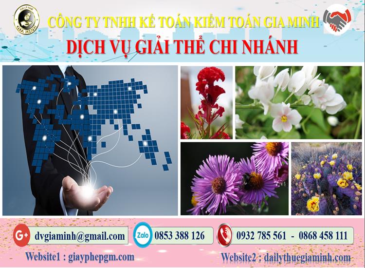 Thủ tục dịch vụ giải thể chi nhánh tại Thành Phố Hà Nội