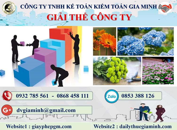Thủ tục dịch vụ giải thể công ty nhanh gọn uy tín Quận Long Biên