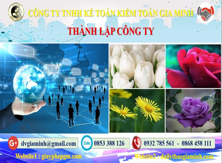 Thủ tục thành lập công ty ở Bình Định