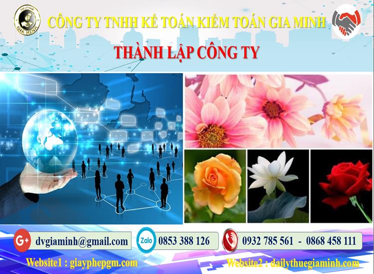 Thủ tục thành lập công ty ở Hà Giang