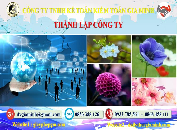 Thủ tục thành lập công ty ở Huyện Mê Linh