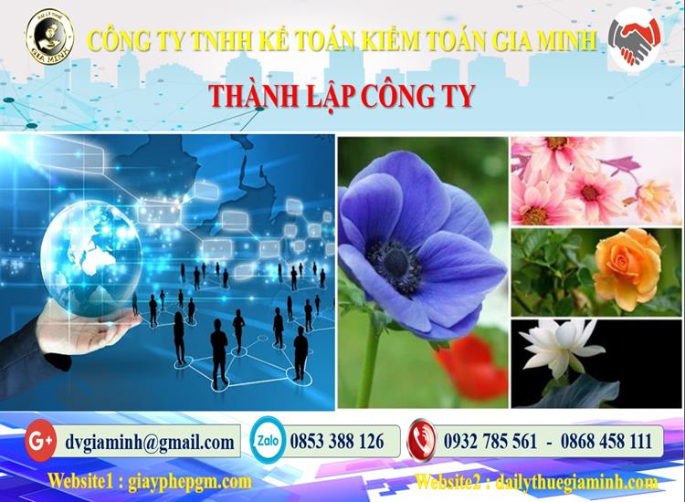 Thủ tục thành lập công ty ở Quận Bình Tân