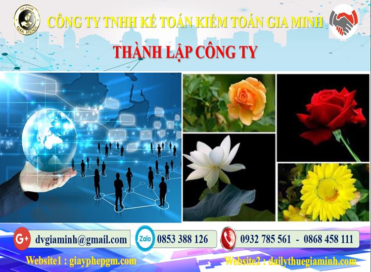 Thủ tục thành lập công ty ở Quận Long Biên