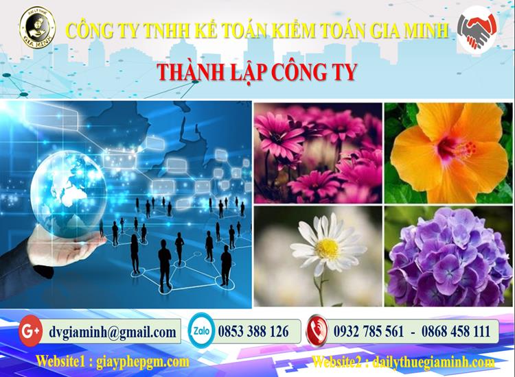 Thủ tục thành lập công ty ở Quận Tân Phú