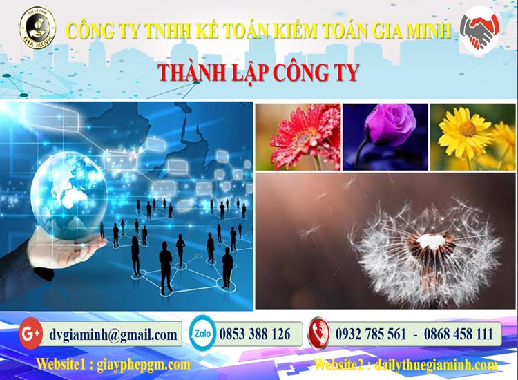 Thủ tục thành lập công ty ở Tuyên Quang