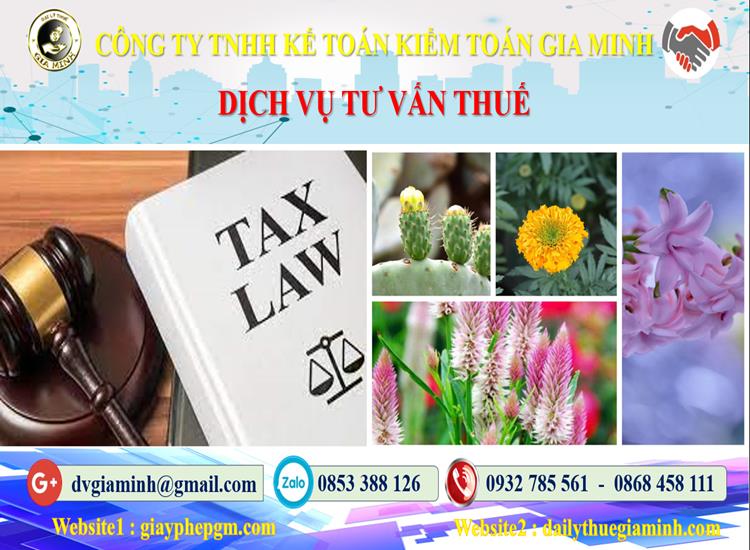 Dịch vụ tư vấn thuế tại An Giang