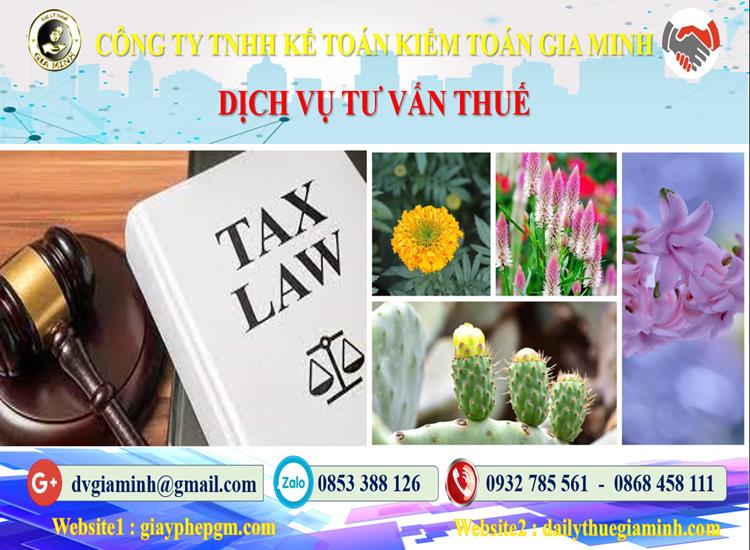 Dịch vụ tư vấn thuế tại Bắc Giang