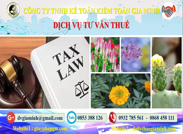 Dịch vụ tư vấn thuế tại Bắc Ninh
