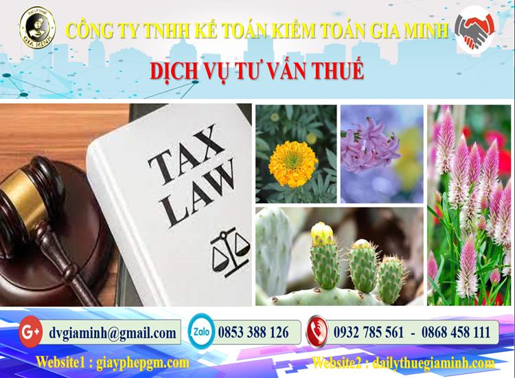 Dịch vụ tư vấn thuế tại Bình Định