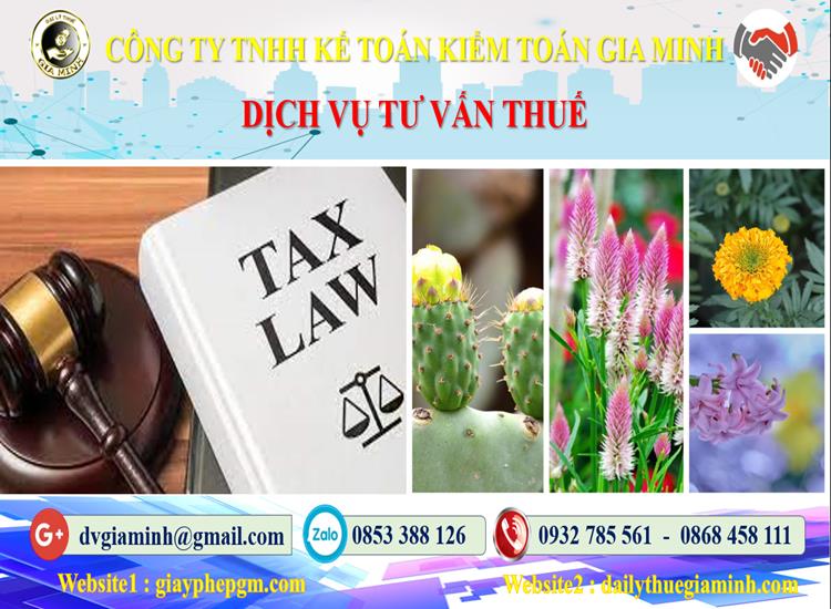 Dịch vụ tư vấn thuế tại Bình Phước