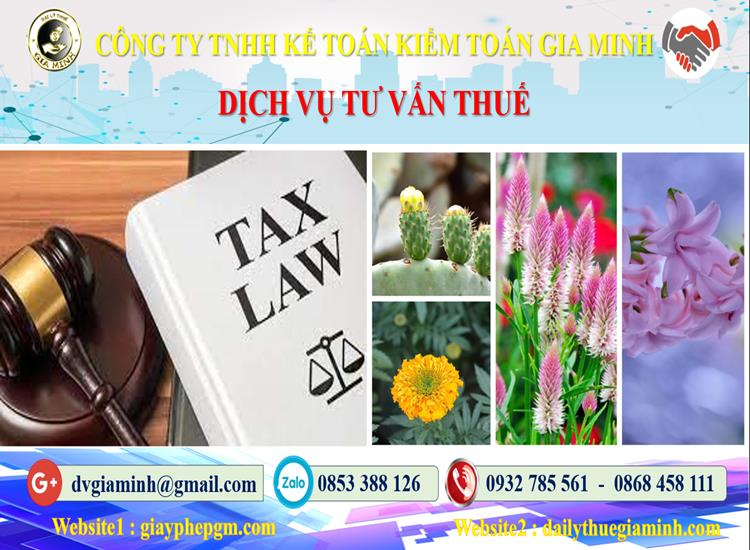 Dịch vụ tư vấn thuế tại Bình Thuận