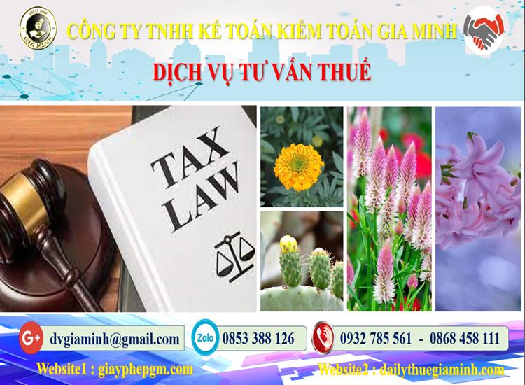 Dịch vụ tư vấn thuế tại Cà Mau