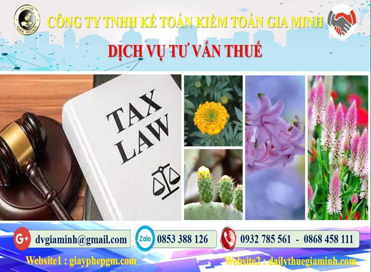 Dịch vụ tư vấn thuế tại Cao Bằng