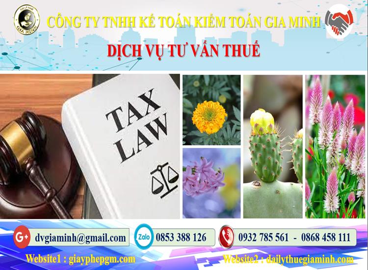 Dịch vụ tư vấn thuế tại Đắk Lắk