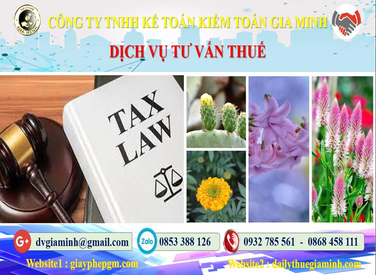 Dịch vụ tư vấn thuế tại Điện Biên