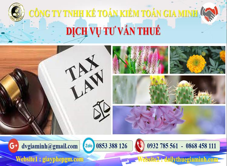 Dịch vụ tư vấn thuế tại Hà Nam