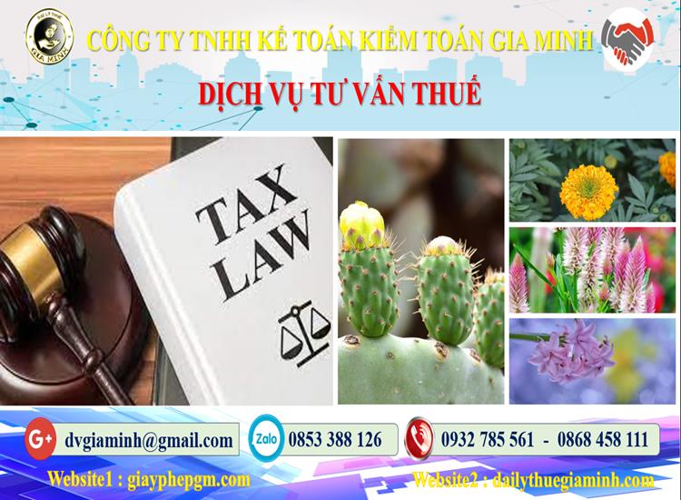 Dịch vụ tư vấn thuế tại Hà Nội