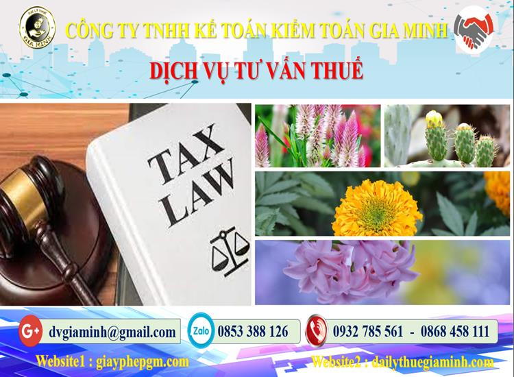 Dịch vụ tư vấn thuế tại Hà Tĩnh