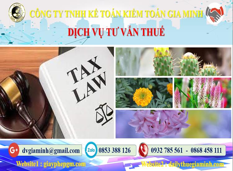 Dịch vụ tư vấn thuế tại Huế