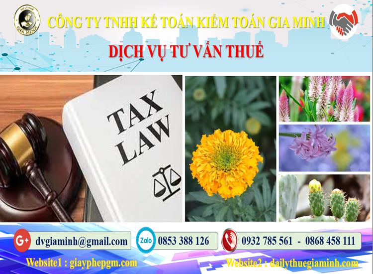 Dịch vụ tư vấn thuế tại Huyện Ba Vì
