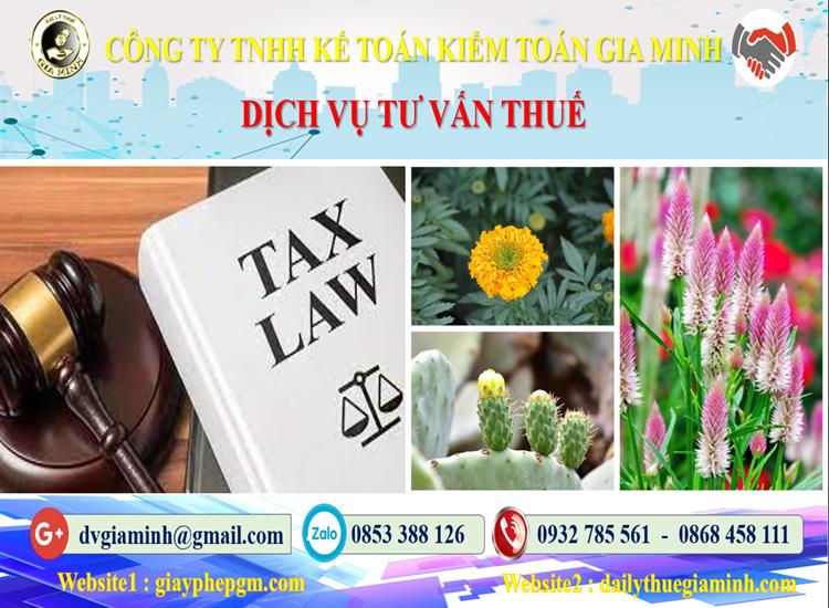 Dịch vụ tư vấn thuế tại Huyện Bình Chánh