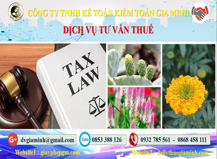 Dịch vụ tư vấn thuế tại Huyện Củ Chi