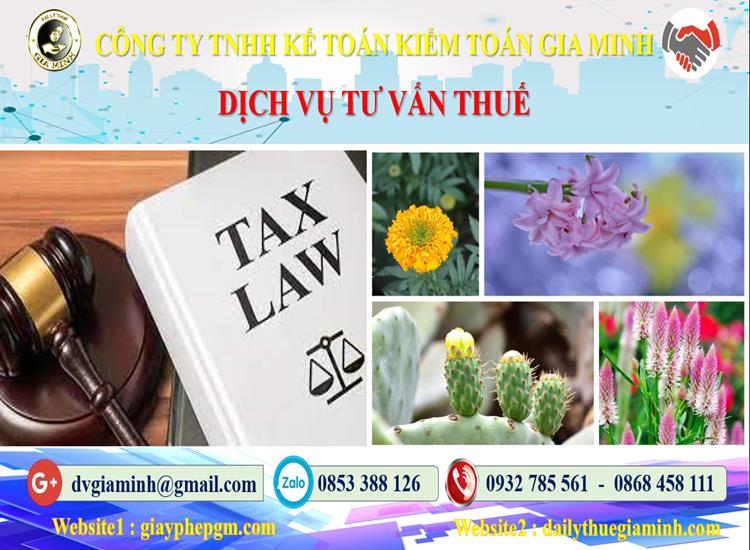 Dịch vụ tư vấn thuế tại Huyện Gia Lâm