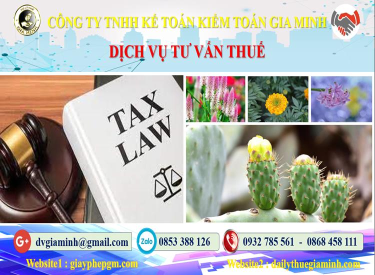 Dịch vụ tư vấn thuế tại Huyện Quốc Oai