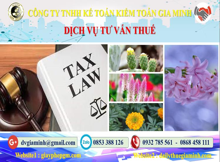Dịch vụ tư vấn thuế tại Huyện Thạch Thất