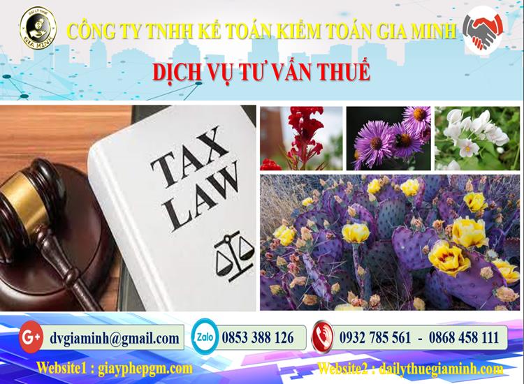Dịch vụ tư vấn thuế tại Huyện Thới Lai