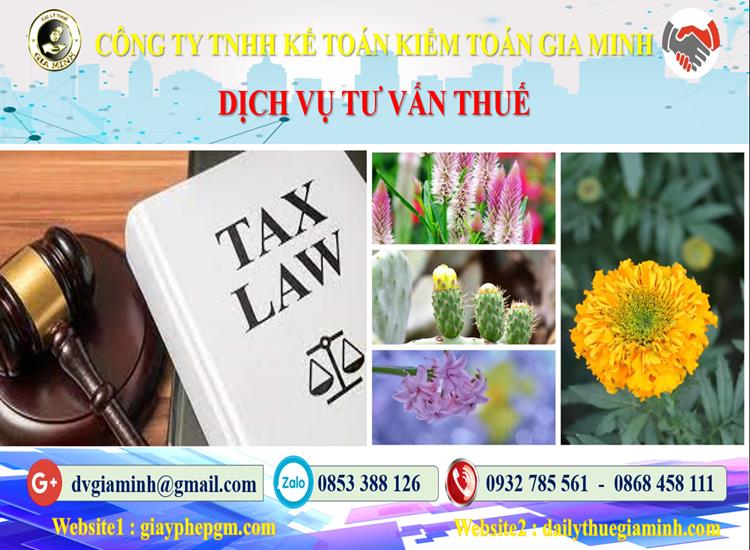 Dịch vụ tư vấn thuế tại Huyện Thường Tín