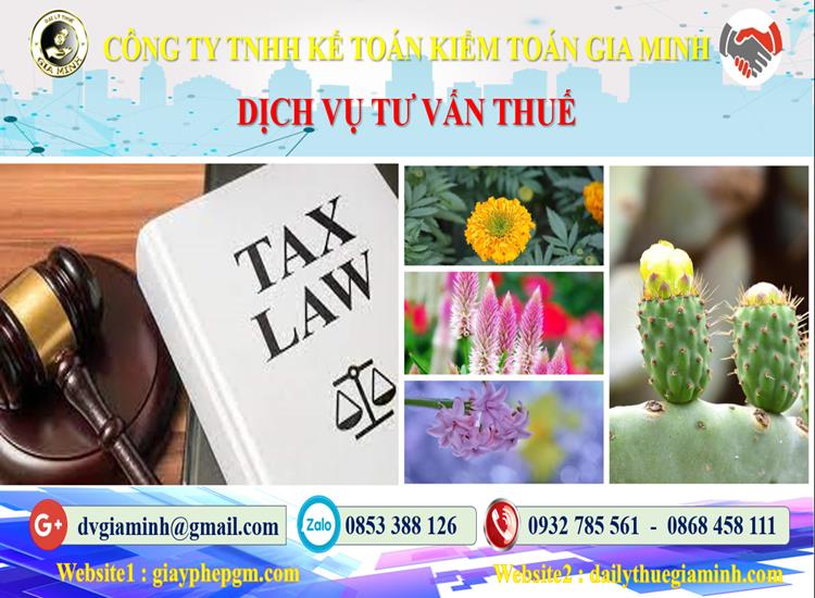 Dịch vụ tư vấn thuế tại Huyện Ứng Hoà