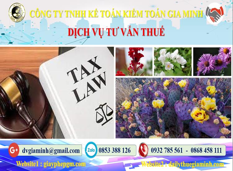Dịch vụ tư vấn thuế tại Huyện Vĩnh Thạnh