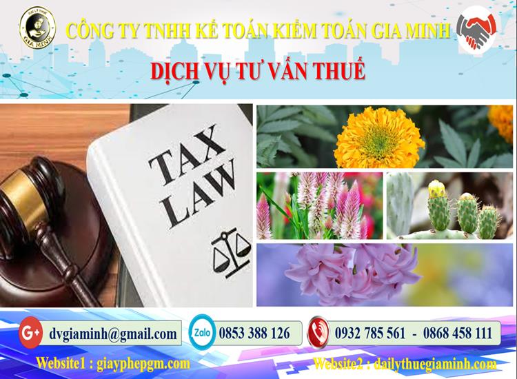 Dịch vụ tư vấn thuế tại Kiên Giang