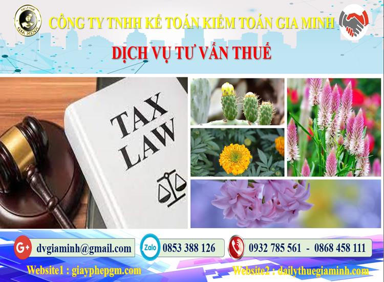 Dịch vụ tư vấn thuế tại Kon Tum