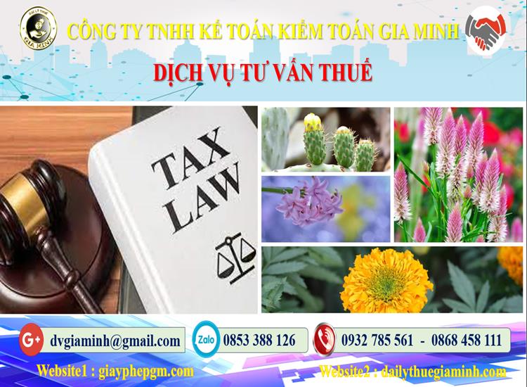 Dịch vụ tư vấn thuế tại Lai Châu