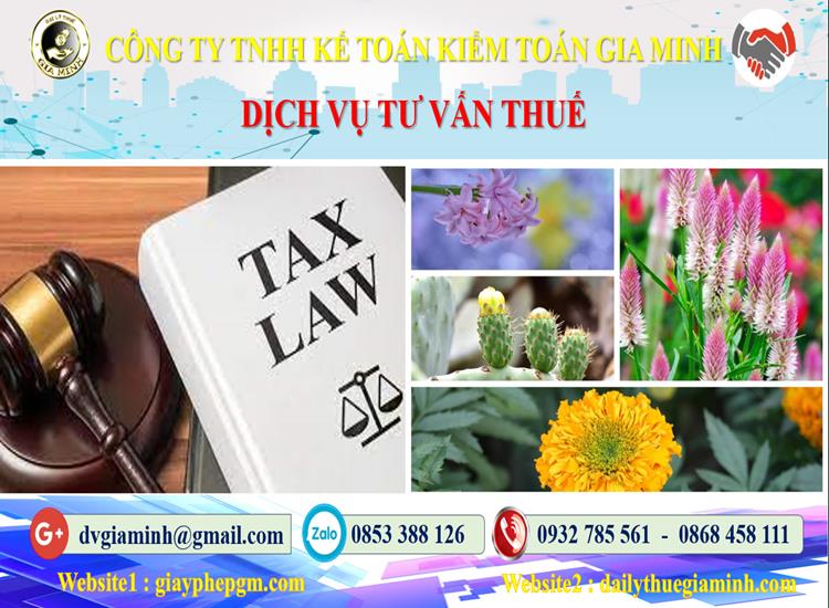 Dịch vụ tư vấn thuế tại Lâm Đồng