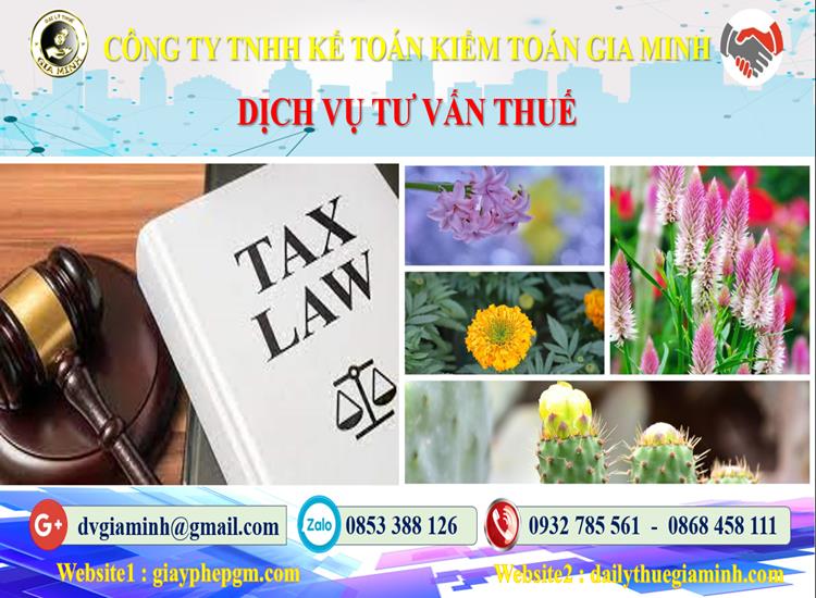 Dịch vụ tư vấn thuế tại Lạng Sơn