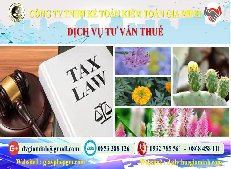 Dịch vụ tư vấn thuế tại Lào Cai