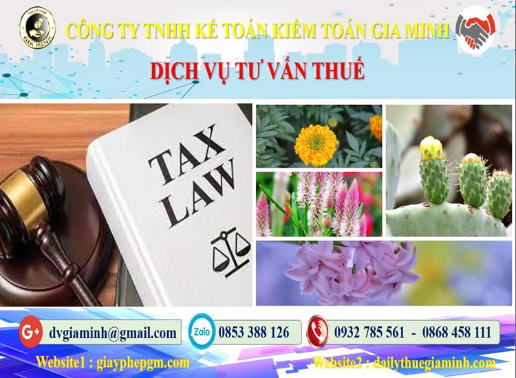 Dịch vụ tư vấn thuế tại Nam Định