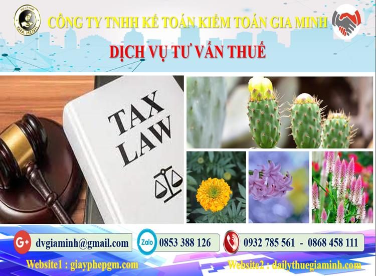 Dịch vụ tư vấn thuế tại Quận Ba Đình