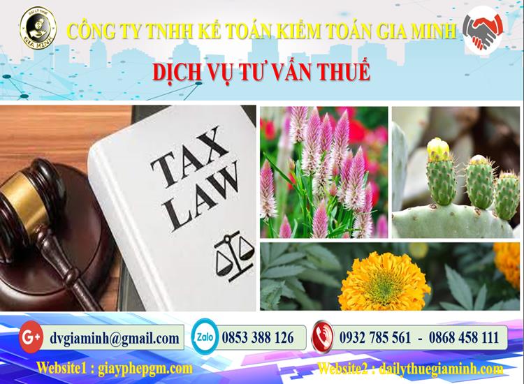 Dịch vụ tư vấn thuế tại Quận Gò Vấp