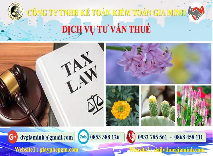 Dịch vụ tư vấn thuế tại Quận Hoàng Mai