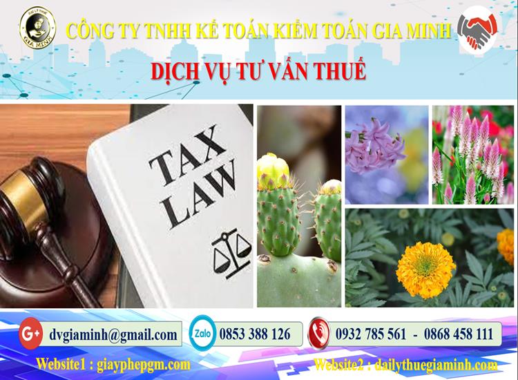 Dịch vụ tư vấn thuế tại Quận Long Biên