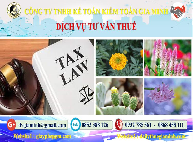 Dịch vụ tư vấn thuế tại Quận Phú Nhuận