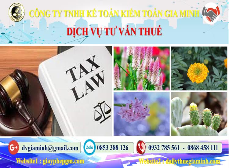 Dịch vụ tư vấn thuế tại Quận Tân Phú