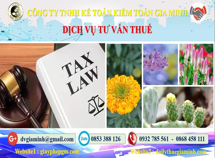 Dịch vụ tư vấn thuế tại Quận Thanh Xuân